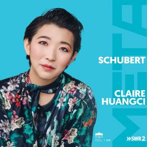 Download track 13. Sonata C Minor, No. 19, D958 III. Menuetto. Allegro Franz Schubert