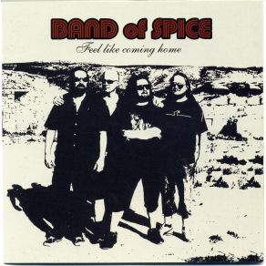 Download track Lose Control Band Of Spice