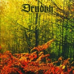 Download track The First Snow Drudkh