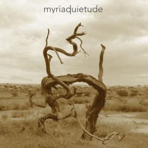 Download track Snowfall The Myriad
