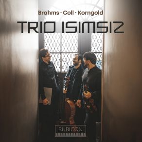 Download track Piano Trio In D Major, Op. 1: I. Allegro Non Troppo, Con Espressione Trio Isimsiz, Pablo Hernán Benedí