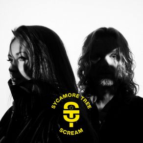 Download track Wild For Fun Sycamore Tree