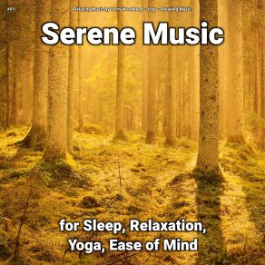 Download track Beautiful Sound Relaxing Music