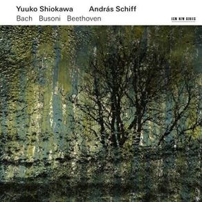 Download track 11. Sonata No. 10 In E Minor, Op. 96 - 3. Scherzo. Allegro – Trio András Schiff, Yuuko Shiokawa