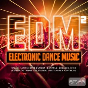 Download track How We Do (Party) (Laidback Luke Club Remix) Rita Ora