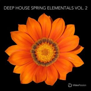 Download track Magic Morning (Patrick Zigon Remix) Tiger Rose