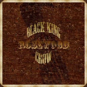 Download track Underneath The Neon Signs Black King Crow