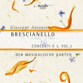 Download track Concerto Decimo In D Minor II. Presto Der Musikalische Garten