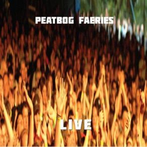 Download track The Dancing Feet Set Peatbog Faeries