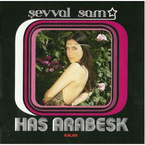 Download track Bir Kulunu Çok Sevdim Şevval Sam