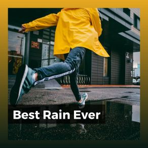Download track Meritable Rain Rain For Deep Sleep