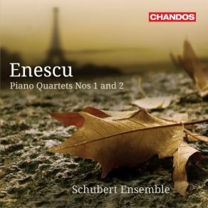 Download track 04 - Quartet No. 2 In D Minor, Op. 30 - I. Allegro Moderato George Enescu