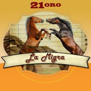 Download track Amargo Dolor La Migra