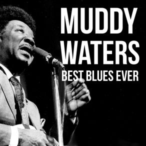 Download track You've Got To Get Sick And Die Some Of These Days Muddy Waters