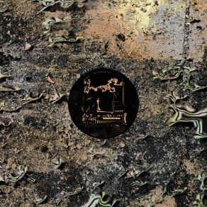 Download track Swarm (Scanner Mix) Ntel