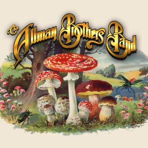 Download track Intro Jam... Don'T Want You No More... The Allman Brothers
