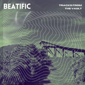 Download track Things That You Said Beatific