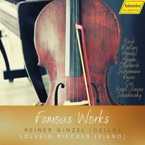 Download track Violin Sonata In D Major, Op. 1 No. 13, HWV 371: III. Larghetto (Arr. For Cello & Piano) Reiner Ginzel, Solveig Riecker