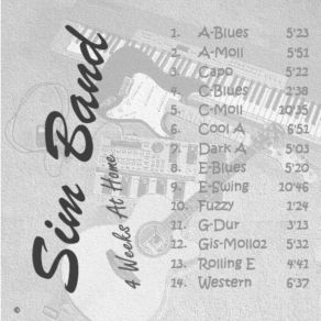 Download track Fuzzy Sim Band