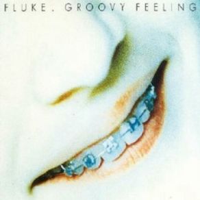 Download track Groovy Feeling (Mr. Whippy) Fluke
