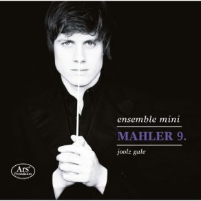 Download track Symphony No. 9 In D Major (Arr. K. Simon) IV. Adagio - Sehr Langsam Und Noch Zuruckhaltend Mini-Ensemble, Joolz Gale