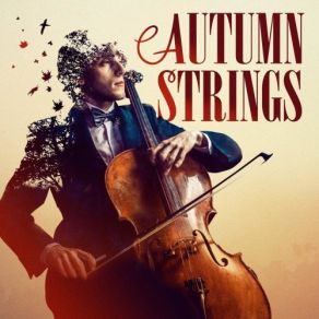 Download track Concerto For Strings In A Major, RV 158: II. Andante Molto Renato Fasano