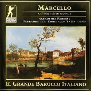 Download track 8. Sonata No. 8 In D Minor - IV. Presto Benedetto Marcello
