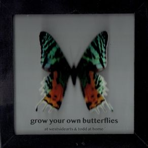 Download track The Part Grow Your Own Butterflies