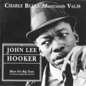 Download track I Don't Want Your Money John Lee Hooker