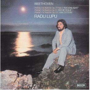 Download track Piano Sonata No. 14 In C Sharp Minor, Op. 27 No. 2 ''Moonlight'' - II. Allegretto Ludwig Van Beethoven