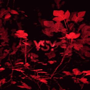 Download track Hairdresser Young Sean Young