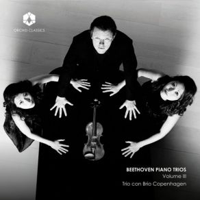 Download track Piano Trio In C Minor, Op. 1 No. 3: IV. Finale. Prestissimo Trio Con Brio Copenhagen