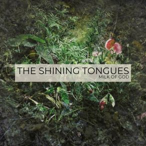 Download track Buildings The Shining Tongues