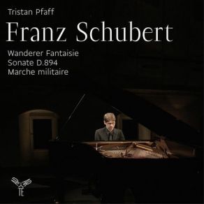 Download track 03 Piano Sonata In G Major, D 894- III. Menuetto - Allegro Moderato - Trio Franz Schubert