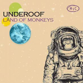 Download track Free Market Express Underoof