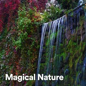 Download track Cannot Keep Spring From Coming Nature Sounds Artists