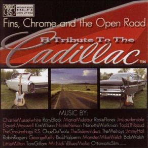 Download track I Should Be Driving A Cadillac Bob Halperin