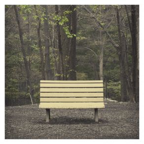 Download track Toe To Toe Streetlight Manifesto