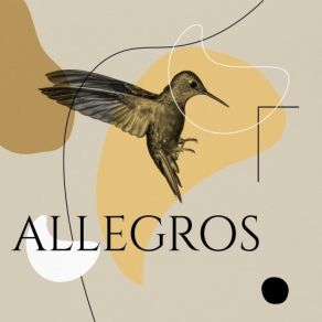 Download track String Symphony No. 2 In D Major, MWV N 2: III. Allegro Lev Markiz, Amsterdam Sinfonietta