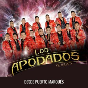 Download track No Señor Apache / La Culebra Los Apodados De Iguala