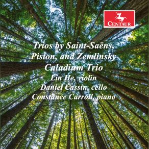 Download track Zemlinsky: Piano Trio In D Minor, Op. 3: I. Allegro Ma Non Troppo Caladium Trio