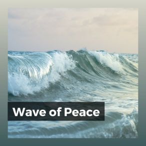 Download track Relaxing Ocean Sounds, Pt. 8 Ocean Sounds FX