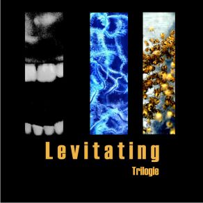 Download track Chaos I Positiv Levitating