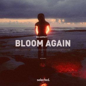 Download track Bloom Again (Extended) Nu Aspect