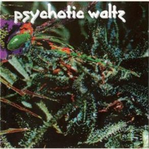 Download track Mosquito Psychotic Waltz