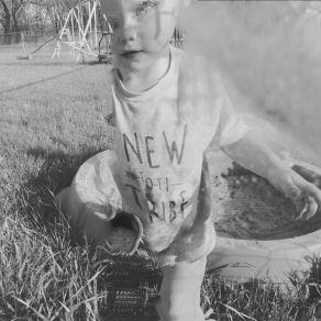 Download track My Shell Haunted Library