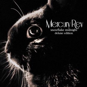 Download track The Dark Is Rising (Live, Black Sessions, 2008) Mercury Rev