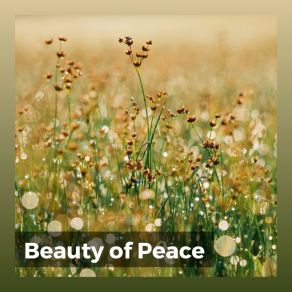Download track Nothing Else But Calmness Deep Sleep