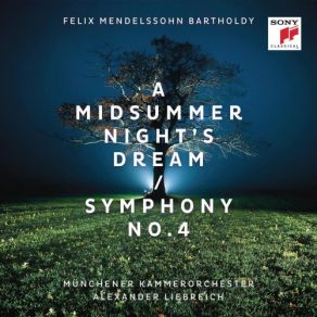 Download track Symphony No. 4 In A Major, Op. 90, 