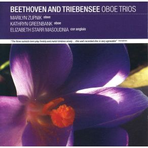 Download track Trio In C - Mvt 1 Allegro Triebensee